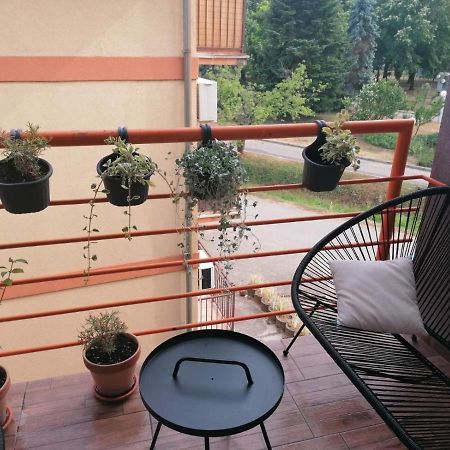 Koko Apartman Vrnjačka Banja Buitenkant foto