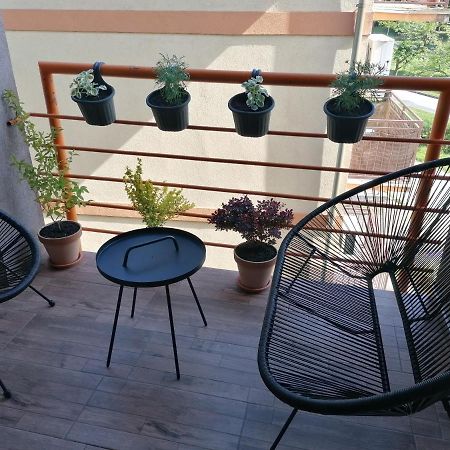 Koko Apartman Vrnjačka Banja Buitenkant foto