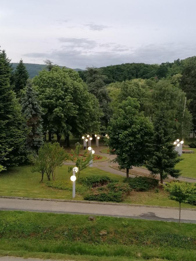 Koko Apartman Vrnjačka Banja Buitenkant foto