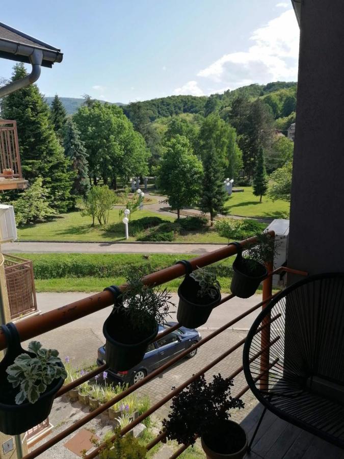 Koko Apartman Vrnjačka Banja Buitenkant foto