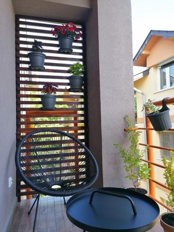 Koko Apartman Vrnjačka Banja Buitenkant foto