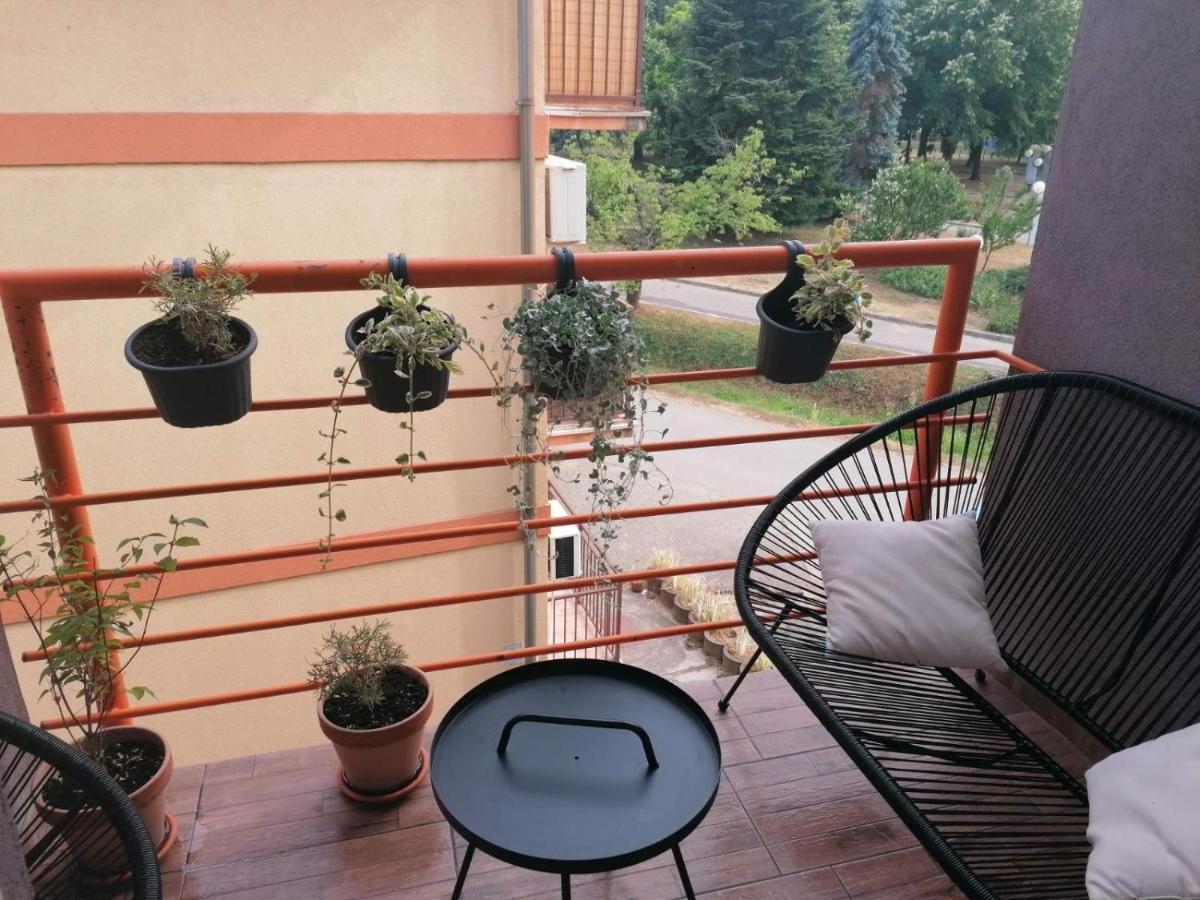Koko Apartman Vrnjačka Banja Buitenkant foto