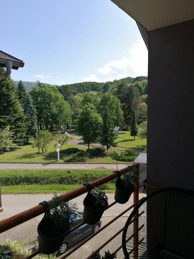 Koko Apartman Vrnjačka Banja Buitenkant foto